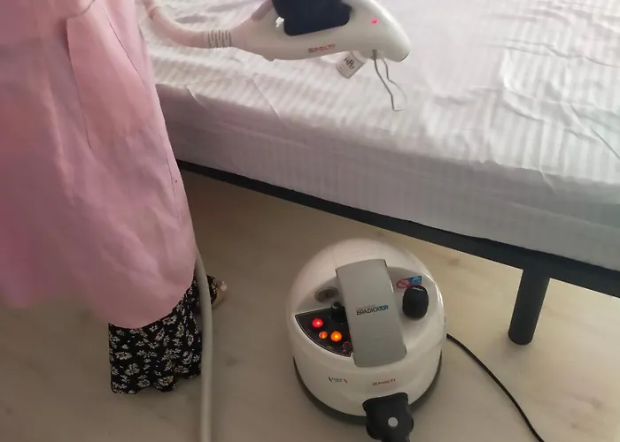 En El Casco Antiguo De